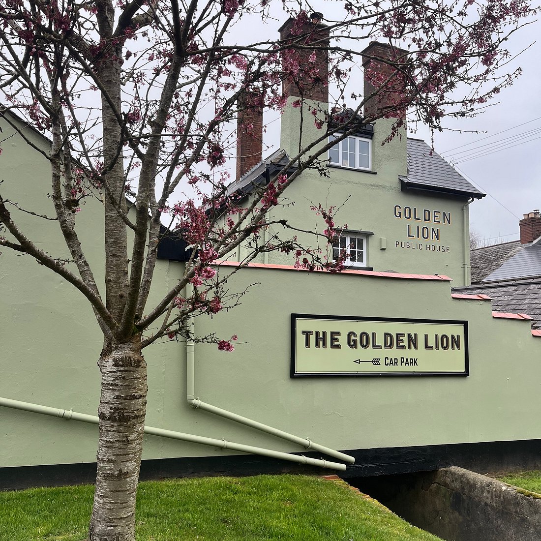 The Golden Lion