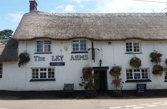 Ley Arms 1