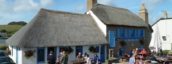 Start Bay Beer Festival